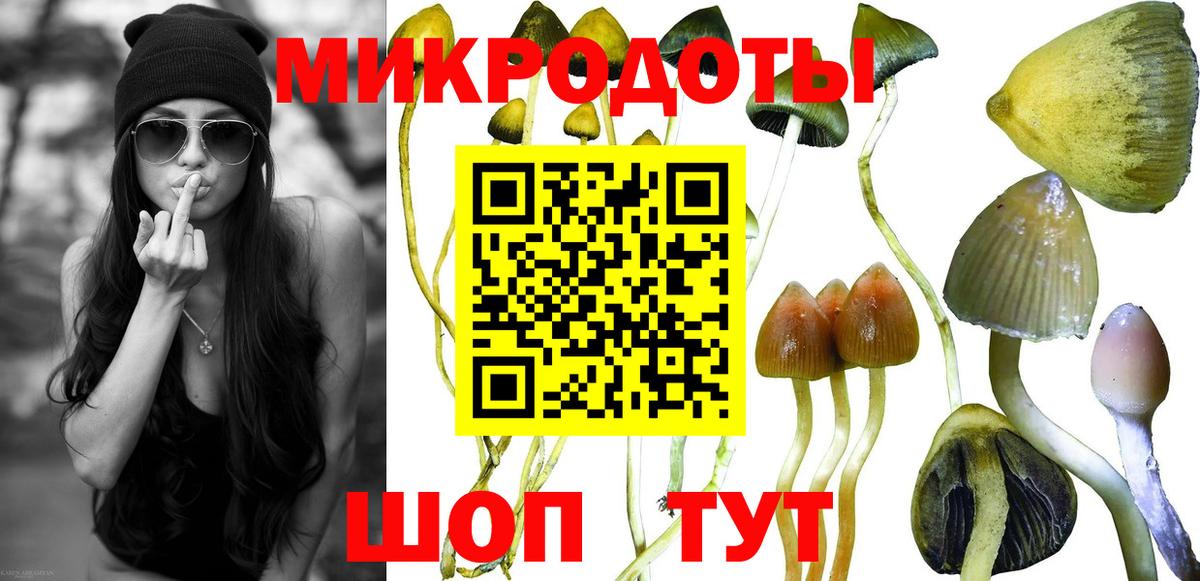 Галлюциногенные грибы Cubensis Реж