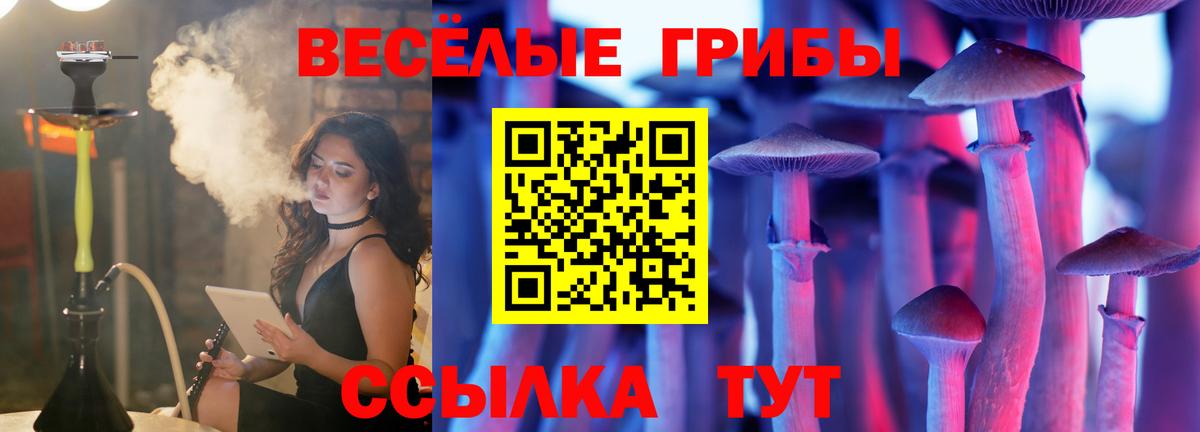 Реж  Галлюциногенные грибы ЛСД  закладка  Вход с VPN 
